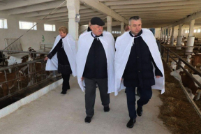 Молчание телят. Как Гомельщина неуклонно теряет стадо